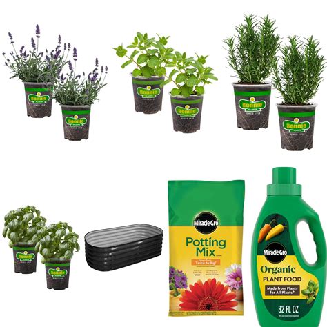 Shop Bonnie Plants Aromatic Herb Garden with Lavender, Mint, Rosemary