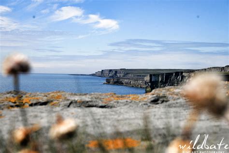 Why Should One Visit Aran Islands Once In Their Lifetime?