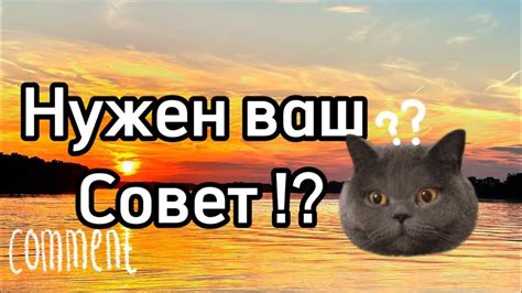 Что я хочу сделать !? - YouTube