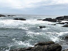 Movie Bodybuilder Sex Scene Thisvid