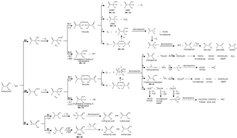 Chemical Mechanism Of The Three Main Pathways For The Oh Initiated