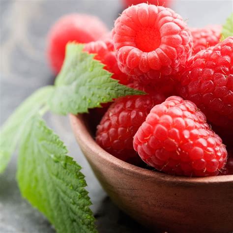 raspberry glen ample rubus glen ample pack   canes