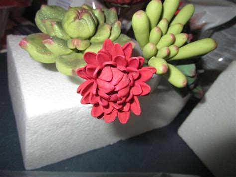 Naked Rustic Succulents Cake CakeCentral