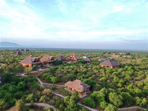 Buffalo Safari Lodge - Africa Safari Trips