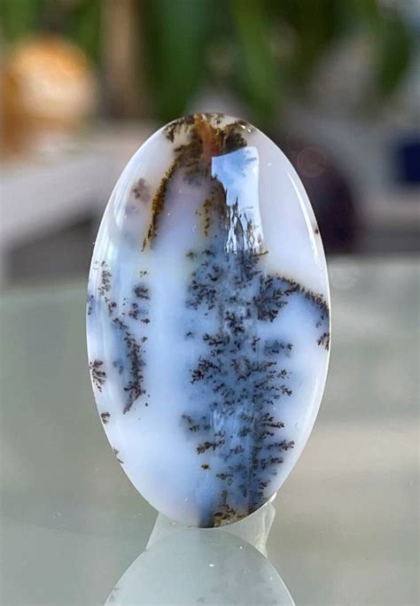 Dendriet Agaat Edelsteen Cabochon Ovaal Uit Rusland Medium Jalla