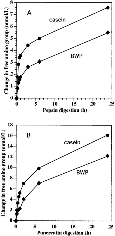 courses  pepsin digestion   pancreatin diges