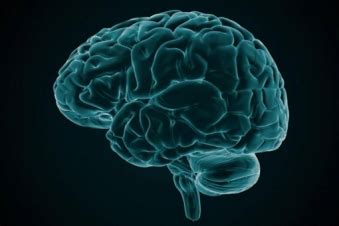 brain functions   restored  death panarmeniannet
