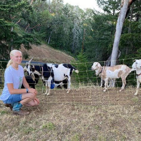 Kiko Goats For Sale