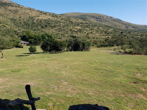 7 Day South Africa Plains Game Hunt For Two Hunters Safari Club