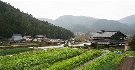 Ohara | PT Sakurakita Wisata Indonesia adalah Perusahaan Travel Amanah ...