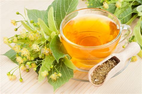 Чай из цветков липы – эффективный помощник при кашле и стрессе ⋆ ...
