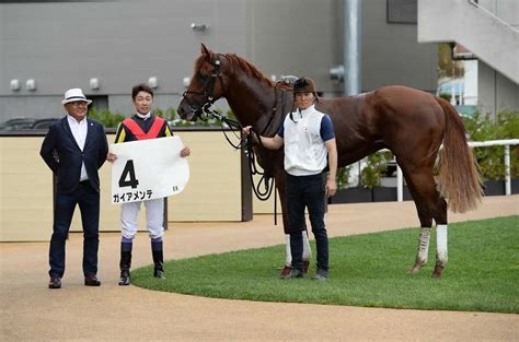 ＜札幌5r・新馬戦＞デビュー戦を楽勝したガイアメンテの須貝師（左）と騎乗した武豊（左から2人目）（撮影・千葉 茂） ― スポニチ