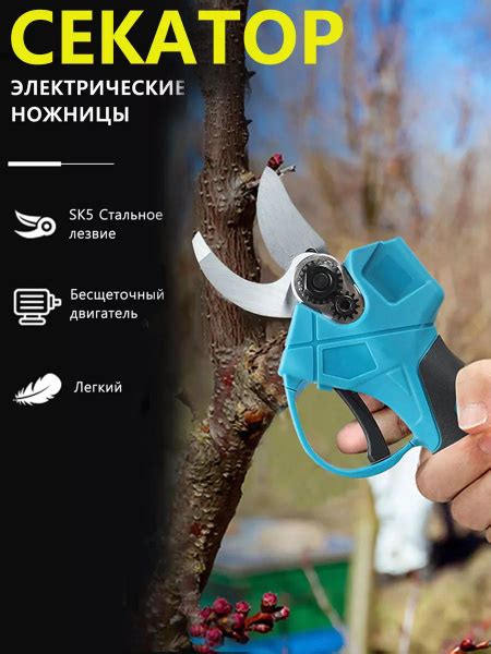 18 ВЭлектрический секатор для фруктовых деревьев, - купить по выгодной ...
