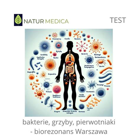 Test Na Grzyby Pierwotniaki Bakterie Biorezonans Medbox