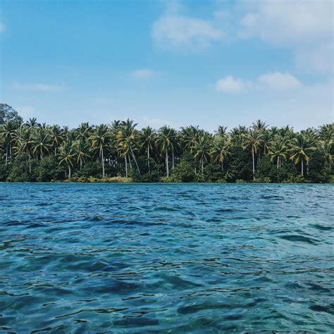 trip  sulawesi tailored trips indonesia