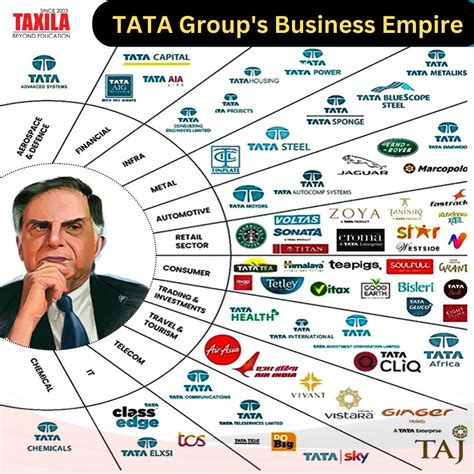 Do you know? TATA Group Empire | Investing infographic, Business plan ...