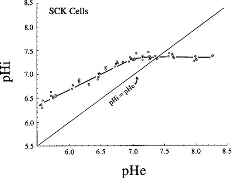 Relationship Between Extracellular Ph Phe And Intracellular Ph Phi