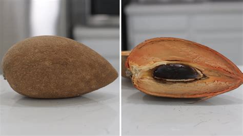 How To Eat Mamey Sapote Pouteria Sapota Taste Test Youtube