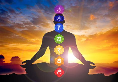 Los Chacras Sanar Consciente