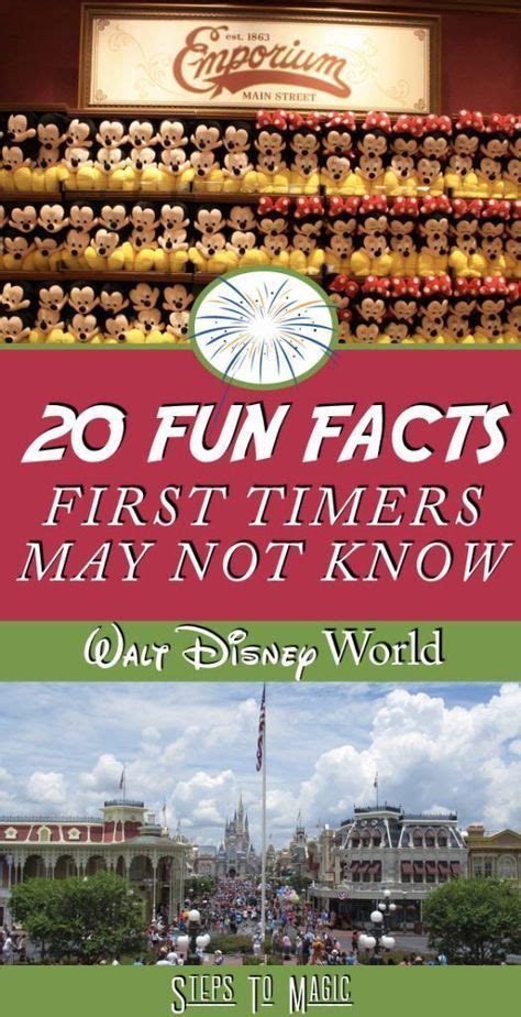 20 Things First Time Disney Visitors Don T Know