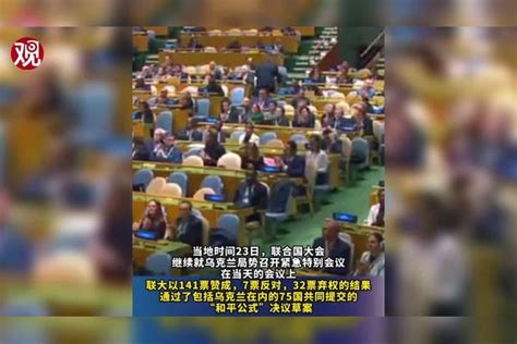 联大通过“和平公式”决议草案，中方呼吁尽快实现停火止战