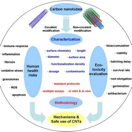 (PDF) Engineered Nanomaterials and Nanotechnology Applications. Health ...