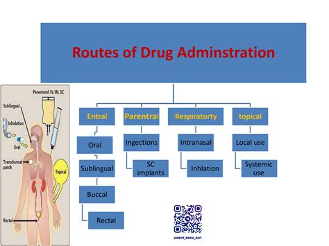 Solution Routes Of Drug Administration Studypool