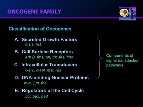 EXAMS AND ME : Oncogene