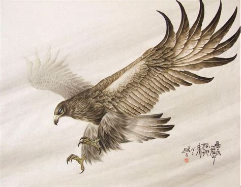 in flight2 | Eagle drawing, Eagle painting, Hawk tattoo