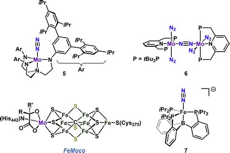 Rethinking The Nitrogenase Mechanism Activating The Active Site Joule