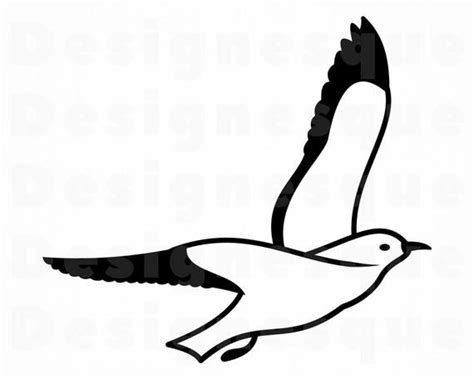 Seabird 2 Svg Sea Bird Svg Flying Bird Svg Seabird Clipart Seabird