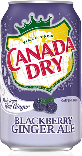 Canada Dry Blackberry Ginger Ale Reviews 2020