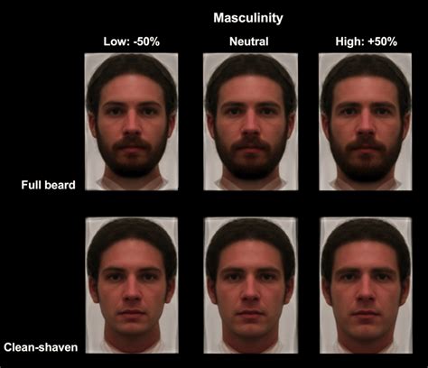 Examples Of The Male Stimuli Used In This Study Bearded Top Row And