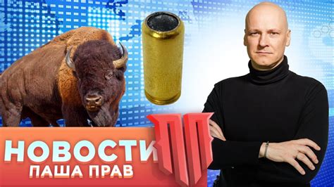 Новый охотминимум – пока невнятно. Новые патроны Чейз 10х28. Минобороны ...