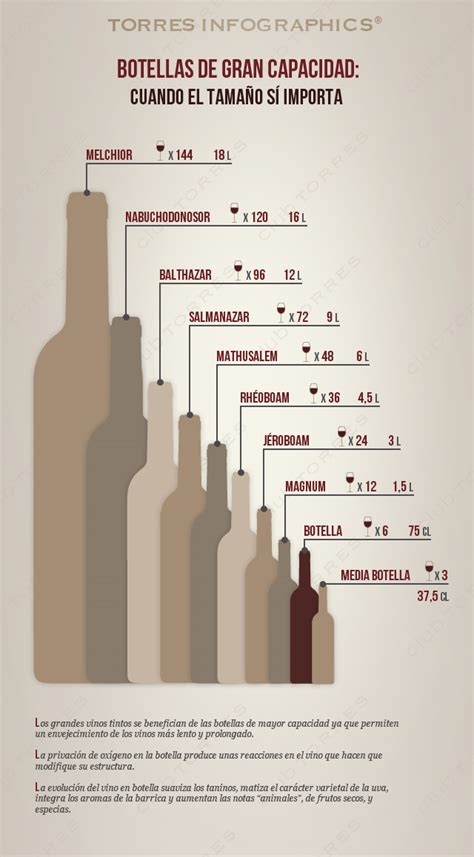 12 infografías sobre botellas de vino The Big Wine Theory