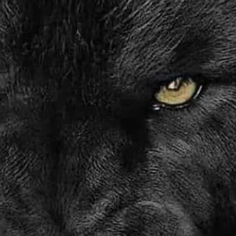 Mt Bi Sex Mania Vol 1 Scene 8 Free Big Cock HD Porn 46 XHamster