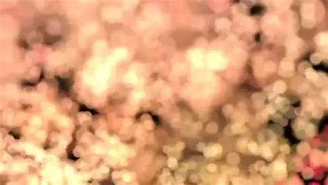 Jonny Cockfill Free Porn Star Videos XHamster