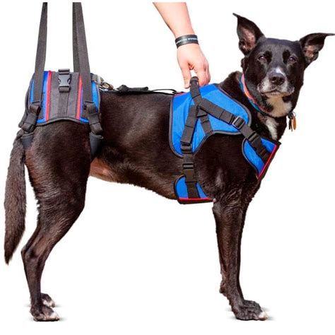 Привязь для передвижения - Walkin’ Lift Combo – Front & Rear - Walkin ...