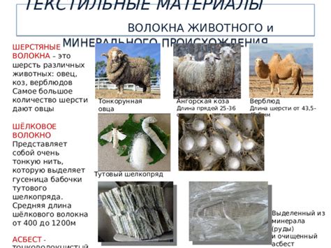 Презентация к уроку технологии " Текстильные материалы"