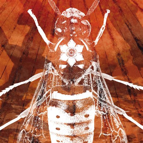 Some Sort Of Naked Apes Heartbeat Parade