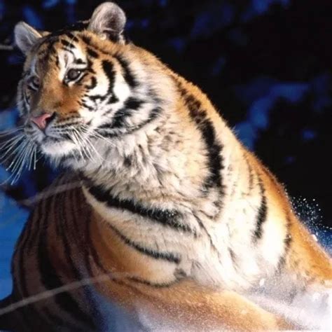 Wifes Exciting Ass European Porn Xhamster