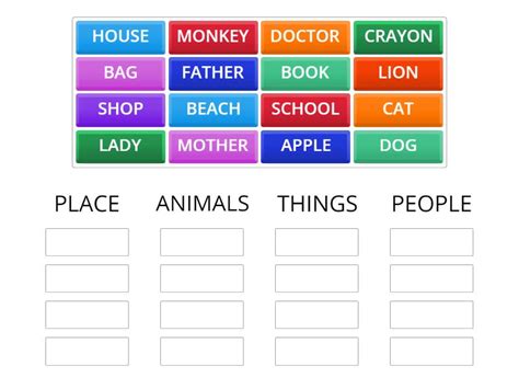 Noun Game Group Sort