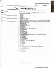 Lab Exercise 15 The Lower Extremities Pdf Course Hero