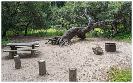 Big Sur Pfeiffer State Park Campground Map - Dianna Mehetabel