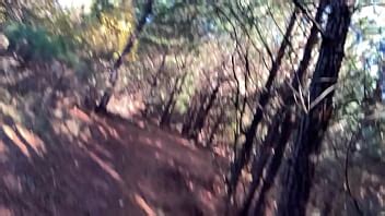 Clitlicker Update IMG Dec XVIDEOS