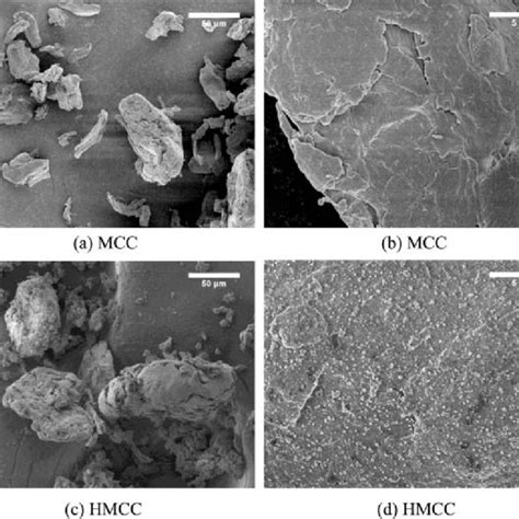 SEM images of surfaces of MCC and HMCC powders. | Download Scientific ...
