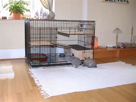 How To Make Rabbit Cage, Custom Cage For your Bunnies