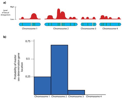 Unusual Diversity Of Sex Chromosomes In African Cichlid Fishes