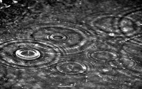 Animated Rain Wallpapers - Top Free Animated Rain Backgrounds ...