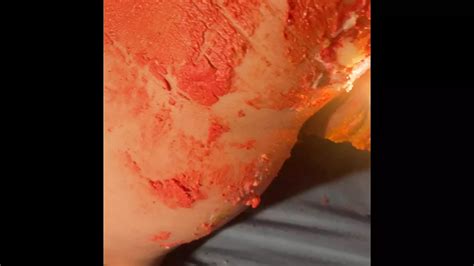 Reina The Realest Chicago Performer American Amateur Porn Xhamster